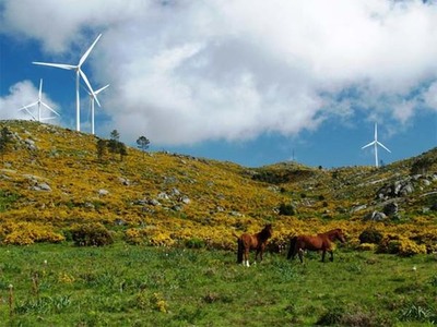 Serra DArga acolhe percurso interpretativo -Zonas hmidas da Serra DArga-