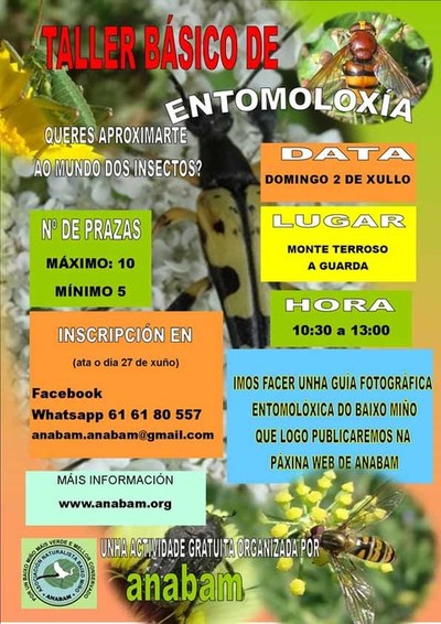 Taller b�sico de entomolox�a o 2 de xullo na Guarda