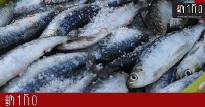 Aumenta la demanda y el precio de la sardina ante la celebracin de la festividad de San Juan en Galicia