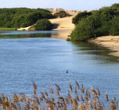 Cmara de Caminha vai promover percurso pedestre interpretativo -Plantas da orla costeira-