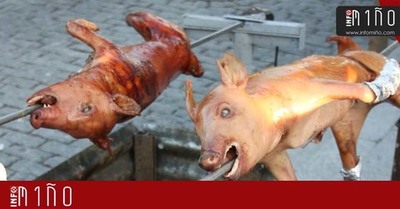 Porco no espeto este domingo en Figueir(Tomio)