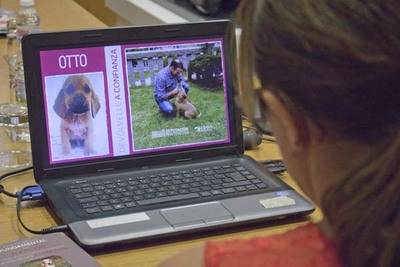 Campaa da CAAN ?Devlvelle a confianza- para a adopcin de cans maltratados