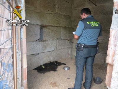 La Guardia Civil investiga a un vecino de Tui por un presunto delito de maltrato animal