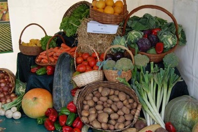 Vila Praia de Ancora acolhe Feira Agrcola e dos produtos tradicionais de 22 a 24 de setembro