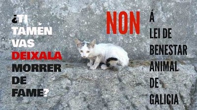 Comunicado do grupo de colectivos de defensa animal contra o Proxecto de Lei de proteccin e benestar animal de Galicia