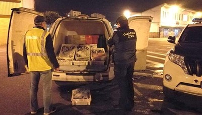 La Guardia Civil y el Servicio de Guardacostas requisan ms de 100 kilos de pescado en el Baixo Mio