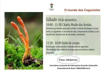 O mundo dos cogumelos regresa  Rosal este sbado