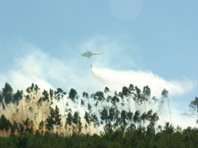 ESPECIAL - UN INCENDIO FORESTAL AFECT EN LA TARDE DE AYER A LA PARROQUIA TOMIESA DE TEBRA