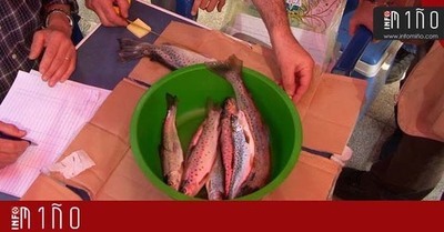 O XIX Concurso de Pesca Costa-Mar chega  Guarda o 3 de decembro