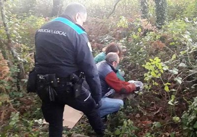 Tejn atrapado con lazo ilegal junto Fortaleza de Goian