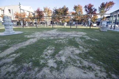 En marcha os traballos de rexeneracin do cspede na Praza do Seixo