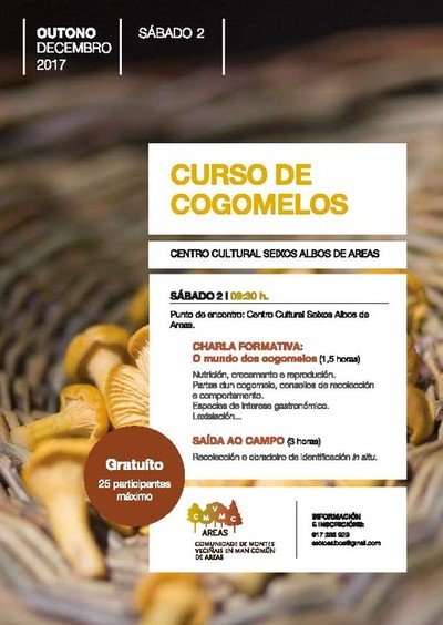 Curso de cogumelos este sbado en Areas (Tui)