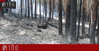 Medio Rural afronta unha nova fase dos traballos de recuperacin de solos afectados polos lumes na Guarda e no Rosal