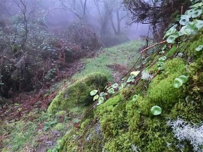 59 Andaina Xundaina Randufe - Ribadelouro este domingo
