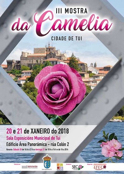 80 expositores de Galicia, Asturias e Portugal danse cita esta fin de semana na III Mostra da Camelia Cidade de Tui