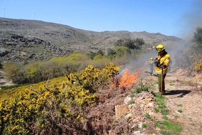 Argela, Azevedo e Dem alvos de ao de fogo controlado nos dias 1 e 2 de fevereiro