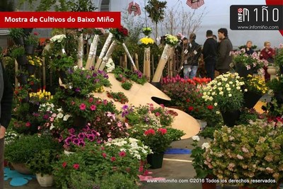 A Mostra de Cultivos cumpre 15 anos poendo en valor a historia do agro no Baixo Mio 