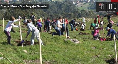 A Comunidade de Montes de Camposancos contina coa repoboacin de rbores no Monte de Sta. Trega