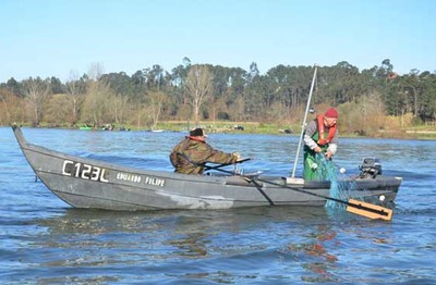 Caminhar e Saborear a Lampreia em Valena: Uma Oportunidade nica no Ano