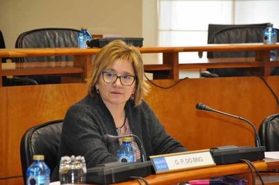 Prado pide no parlamento que o Sergas solucione as deficiencais do PAC e do Centro de Sade de Tui