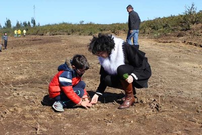 -Aulas prticas- sobre reflorestao prolongam-se at ao final do ano letivo em Cerveira