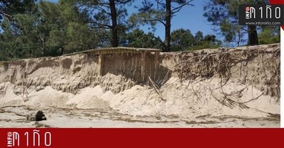 El ecosistema dunar de A Guarda en peligro ante la pasividad de las administraciones
