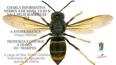 Charla -A avespa asitica. Incidencia e control a travs do trampeo- este venres 4 de maio en Tui
