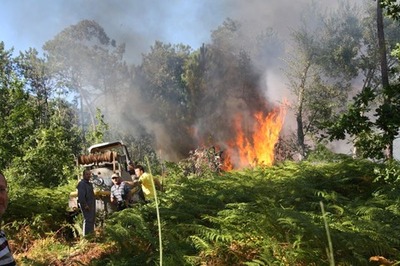 UN INCENDIO FORESTAL AFECT EN LA TARDE DE AYER A SAN MIGUEL DE TABAGN EN O ROSAL