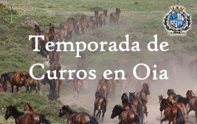 Oia inicia este domingo la temporada de Curros