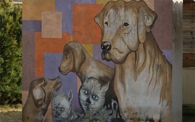 Convvio com msica ao vivo promete ajudar animais abandonados em Caminha