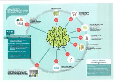 Tomio loita contra o lume tramitando a limpeza de 300 fincas no prazo medio de dous meses