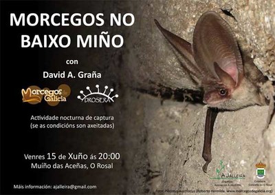 Charla sobre os Morcegos no Baixo Mio este venres no Rosal