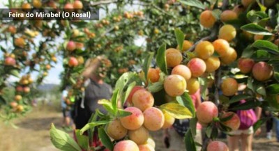 O Rosal acoge este domingo la Feria del Mirabel