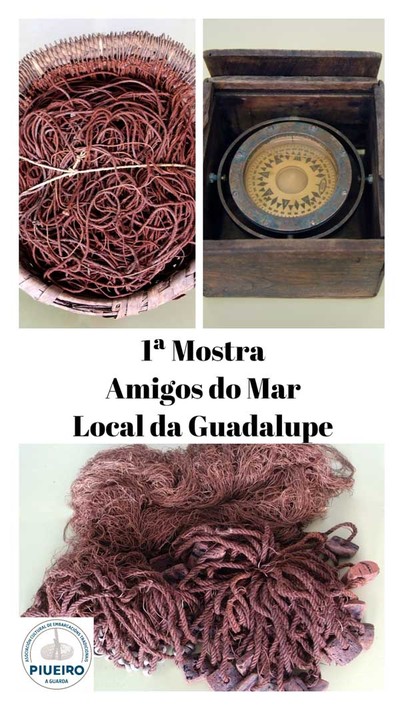 Mis de 6000 persoas visitaron a exposicin -Amigos do Mar- na Guarda