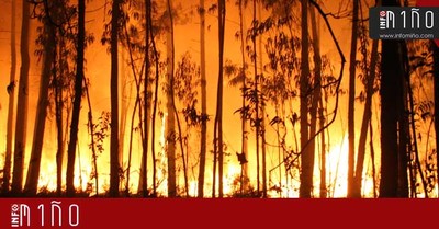 Un incendio forestal afect en la tarde-noche de este domingo a Forcadela(Tomio)