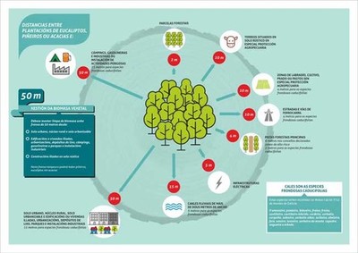 O Concello da Guarda recorda a obriga de limpeza e acondicionamento das fincas conforme  lexislacin