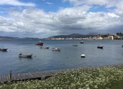Ao de limpeza na praia da Foz do Minho em Caminha alerta para os perigos marinhos