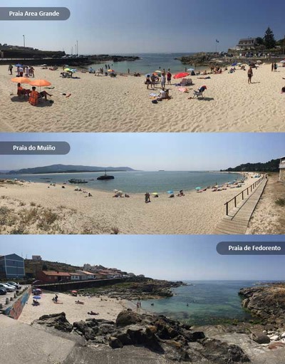 O vern galego foi clido e hmido cunha diferencia de 0.71c da temperatura media e un 32% mis de chuvia media rexistrada 