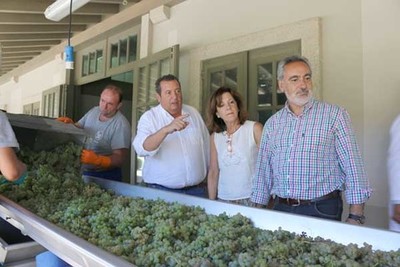 Cores Tours visitou a Adega Lagar de Cervera no Rosal para comprobar o avance da vendima no Baixo Mio