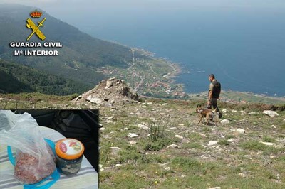 La Guardia Civil detuvo a dos cazadores con cebos envenenados en un monte de Oia