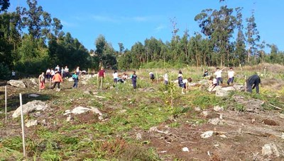 Escolares da Guarda participan na eliminacin de especies invasoras no Monte Sta Trega
