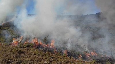 Autarquia Cerveirense promove ao de fogo controlado em Covas e Sapardos