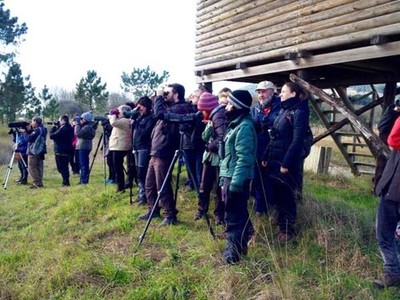 Arranca este domingo no Esteiro do Ro Mio a primeira ruta do programa -Voando nas Ras Baixas 2019-