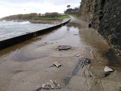 A odisea do Camio de Oia ao Parlamento de Galicia