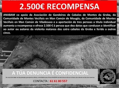Aumenta a 2.500 euros a recompensa para quen aporte datos sobre a morte violenta dos catro garranos en Oia