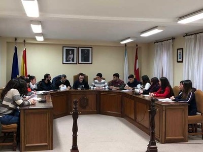 Alumnos e alumnas da Guarda participan nun Pleno Escolar