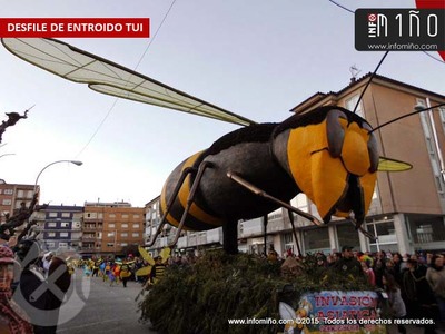A inscricin no Desfile Concurso de Entroido de Tui ser o xoves, o venres e o luns