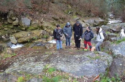 Escola Superior de Conservacin e Restauracin, comunidade de montes de Pedornes e Costa dos Castros estudan unha nova actuacin en Auga dos Cebros