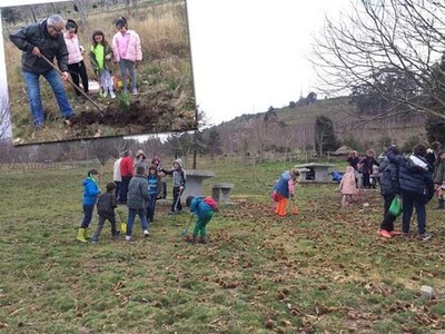 O Plan de Parques Forestais permite dotar de 1300 novas rbores ao Monte Santa Trega