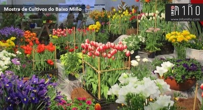 A 16 Mostra de Cultivos afondar nas oportunidades de formacin e emprego no agro a ambas beiras do ro Mio 
